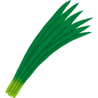 Spring Onion | A to Z Vegetables Names