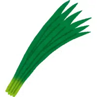 Spring Onion | A to Z Vegetables Names
