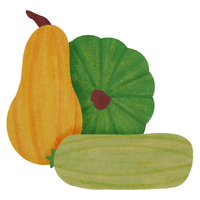 Squash | A to Z Vegetables Names