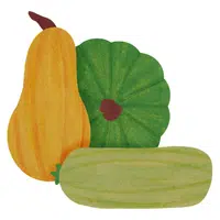 Squash | A to Z Vegetables Names