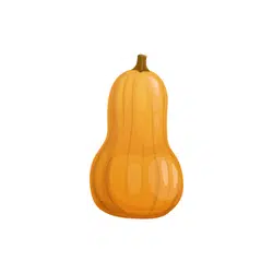 Squash | Temperate Vegetables Names in English