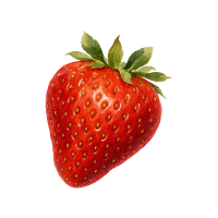 Strawberry | Sugar Free Fruits Names