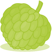 Sugar Apple | A to Z Fruits Name