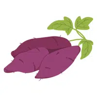 Sweet Potato | A to Z Vegetables Names