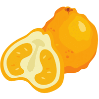 Tangelo | A to Z Fruits Name