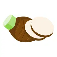 Taro | A to Z Vegetables Names