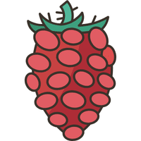 Tayberry | A to Z Fruits Name