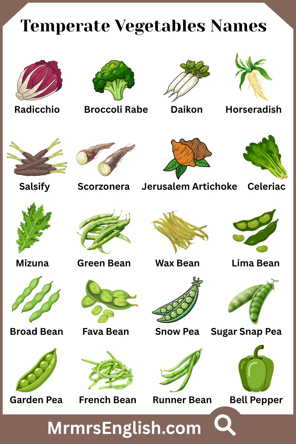 Temperate Vegetables Names in English and Pictures