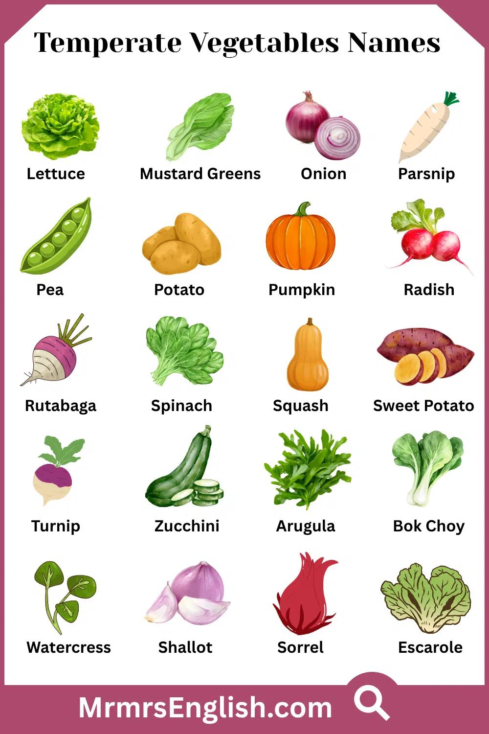 Temperate Vegetables Names with Pictures