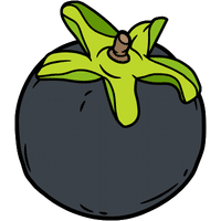 Texas Persimmon | A to Z Fruits Name