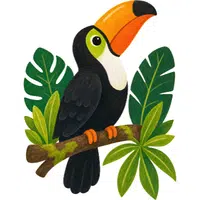 Toucan | A to Z Animals Name
