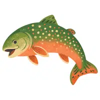 Trout | A to Z Animals Name