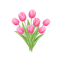 Tulip | Wedding Flowers Names