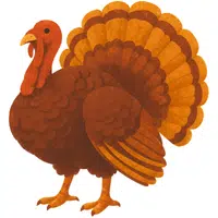 Turkey | A to Z Animals Name