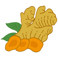 Turmeric | A to Z Vegetables Names