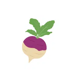 Turnip | Temperate Vegetables Names in English