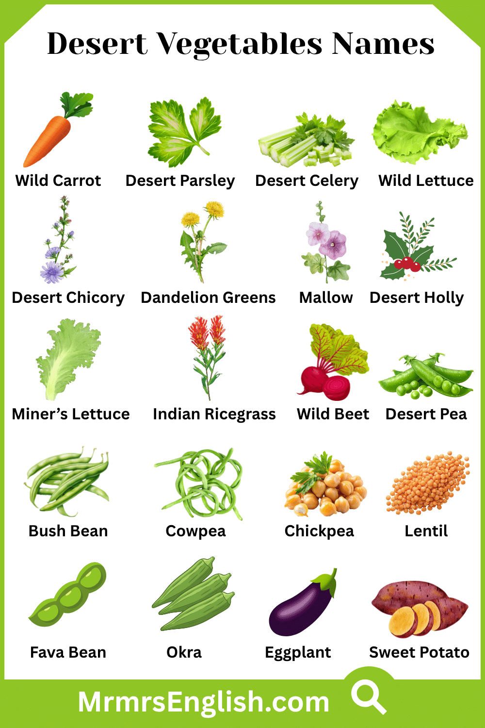 Types of Desert Vegetables in English with Pictures