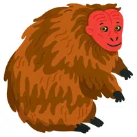Uakari | A to Z Animals Name