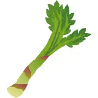 Udo | A to Z Vegetables Names