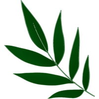 Ulluco Leaves | A to Z Vegetables Names