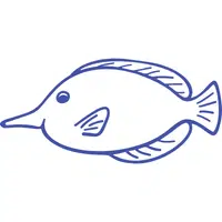 Unicornfish | A to Z Animals Name