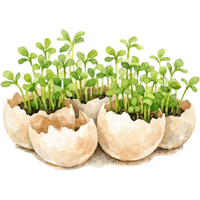 Upland Cress | A to Z Vegetables Names