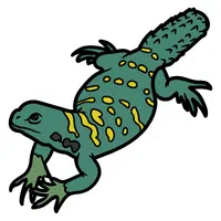Uromastyx | A to Z Animals Name
