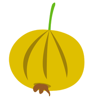 Uvaia | A to Z Fruits Name
