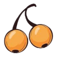Uvilla | A to Z Fruits Name