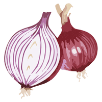 Valencia Onion | A to Z Vegetables Names