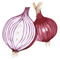 Valencia Onion | A to Z Vegetables Names