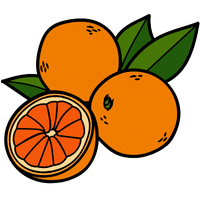 Valencia Orange | A to Z Fruits Name