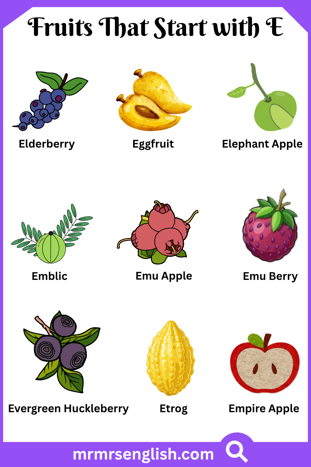 Fruits That Start with E