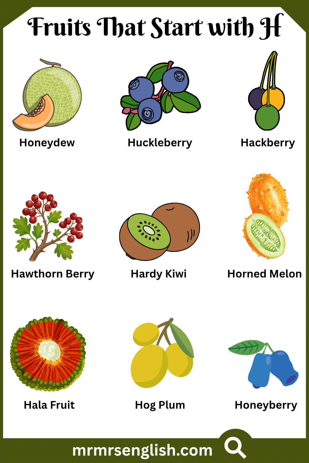 Fruits That Start with H