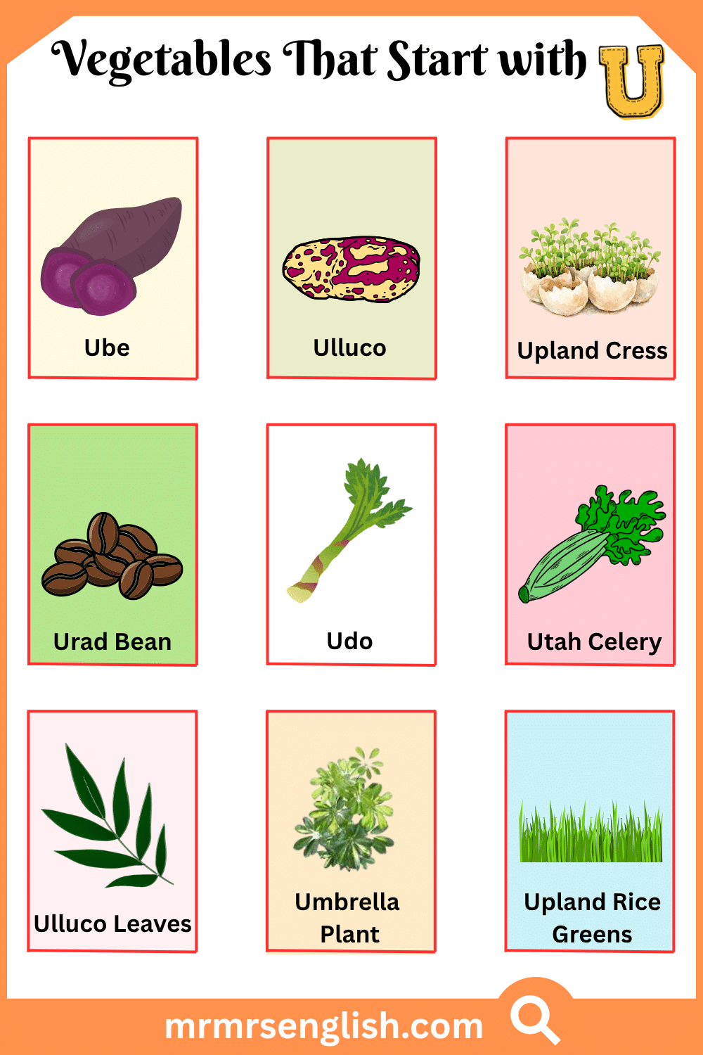Vegetables That Start with U