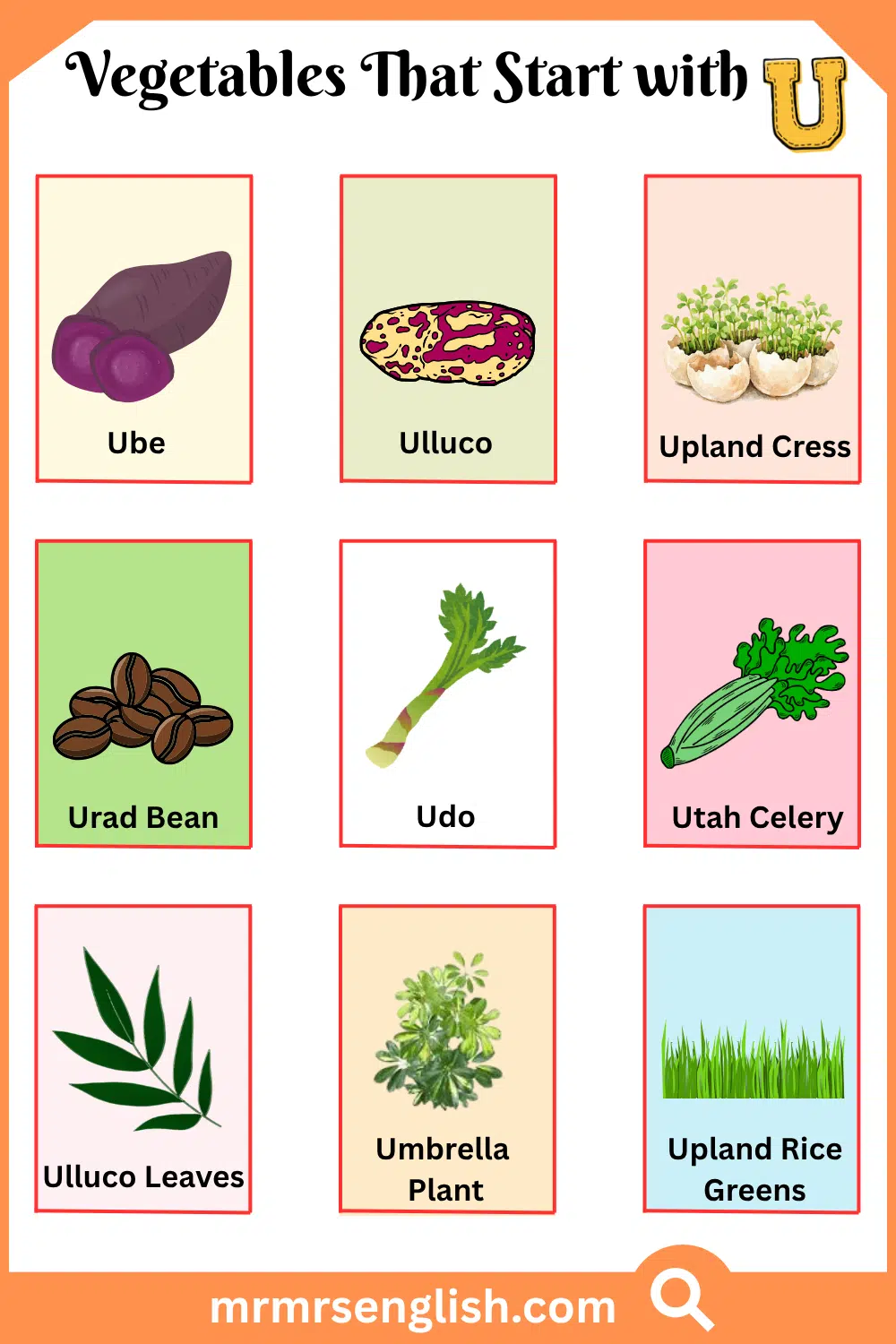 Vegetables That Start with U
