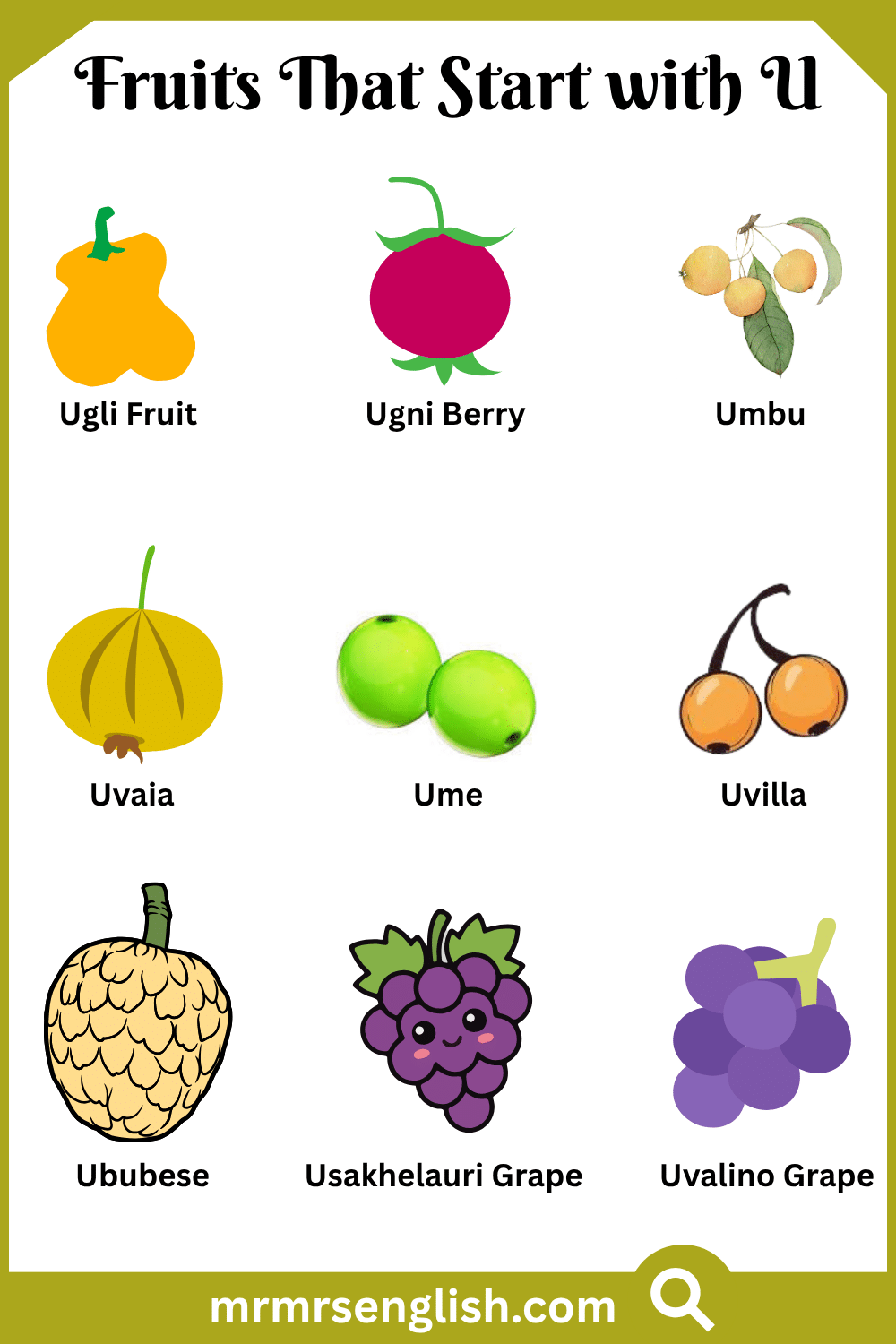 Fruits That Start with U
