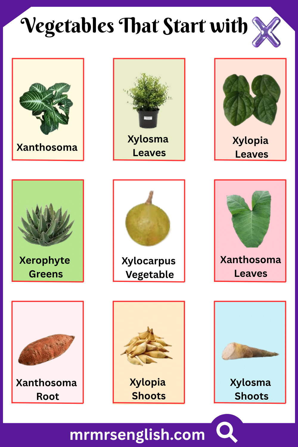 Vegetables That Start with X