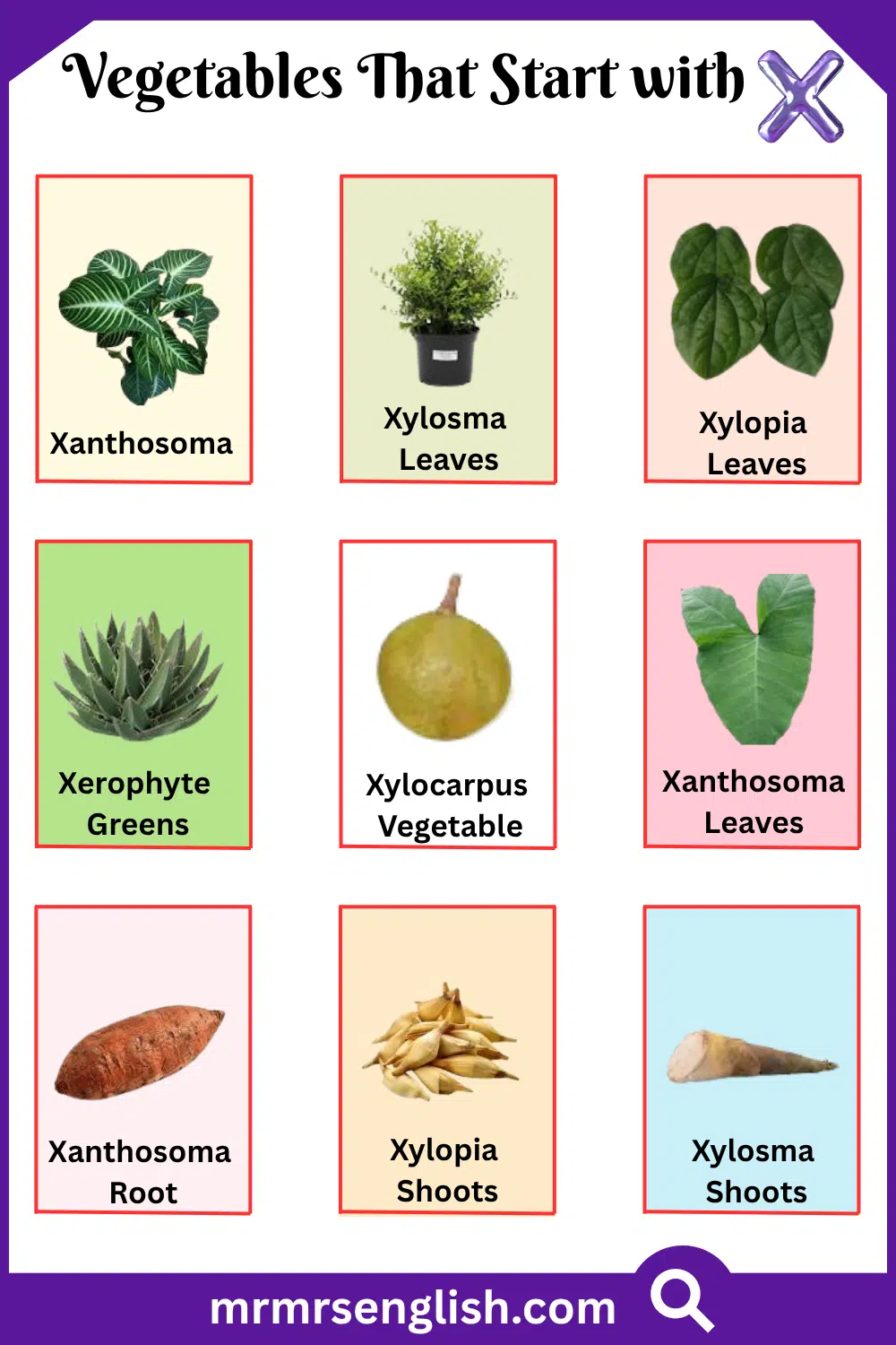 Vegetables That Start with X