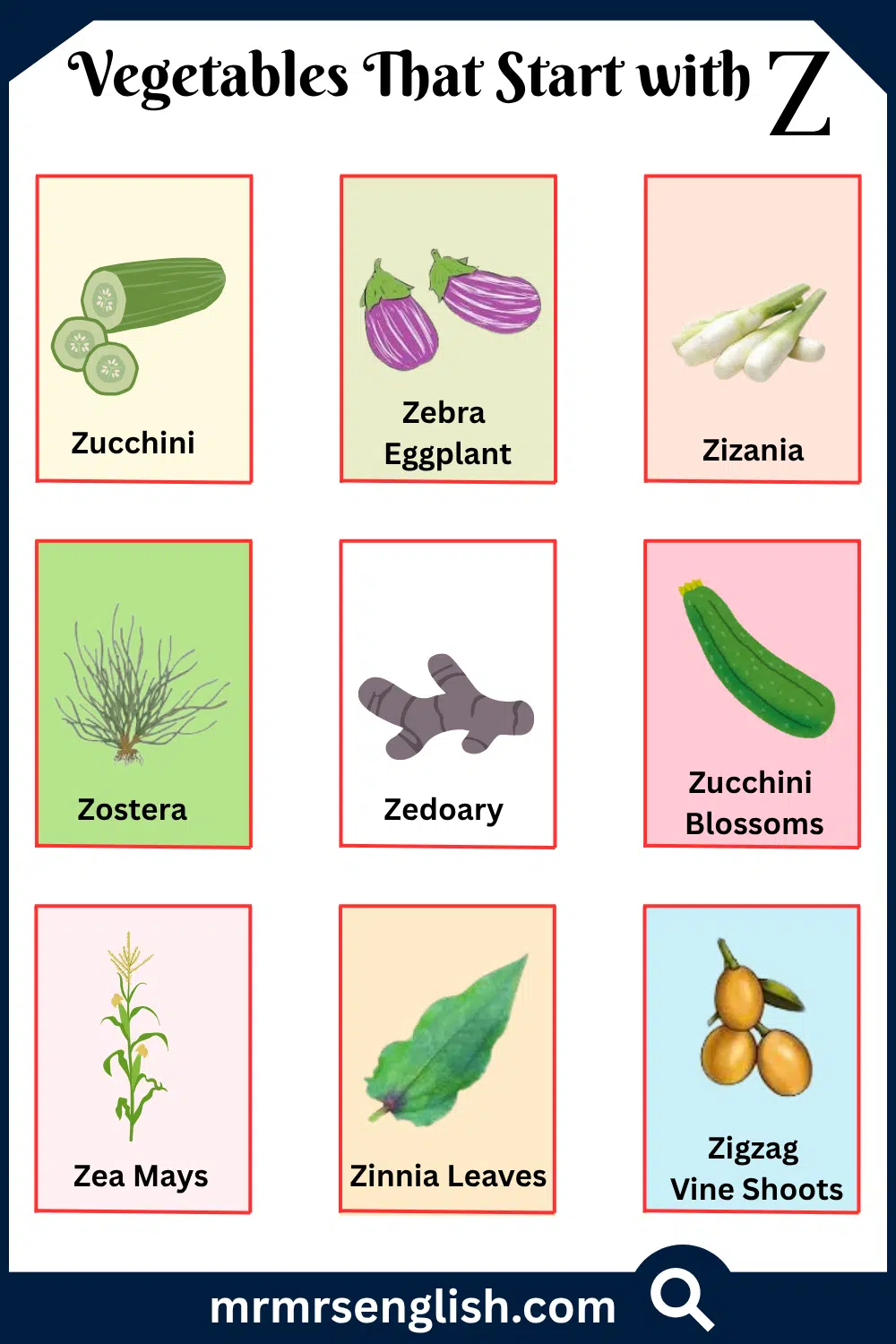Vegetables That Start with Z