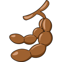Velvet Tamarind | A to Z Fruits Name
