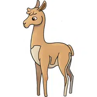 Vicuna | A to Z Animals Name