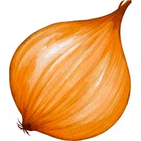 Vidalia Onion | A to Z Vegetables Names