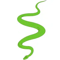 Vine Snake | A to Z Animals Name