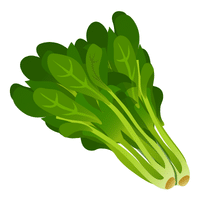 Vine Spinach | A to Z Vegetables Names