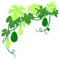 Vining Pea | A to Z Vegetables Names