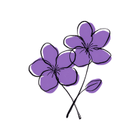Violet | Decorative Flowers Names