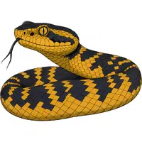 Viper | A to Z Animals Name