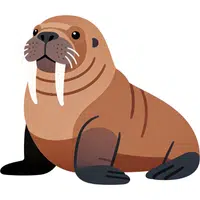 Walrus | A to Z Animals Name