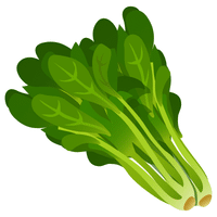 Watercress | A to Z Vegetables Names